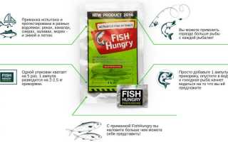Fishhungry: развод или нет? Отзывы об активаторе клева Fishhungry зимой