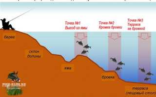 Ловля леща в ноябре на фидер
