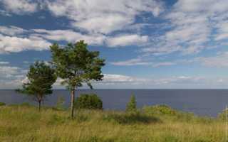Ильмень озеро в Новгородской области