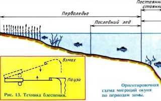 Особенности ловли окуня на блесну зимой: как выбрать правильное снаряжение