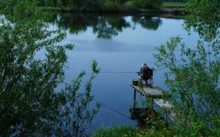 Отдых и рыбалка на Химкинском водохранилище