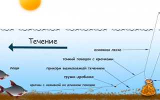 Техника ловли на яйца, конструкция снасти