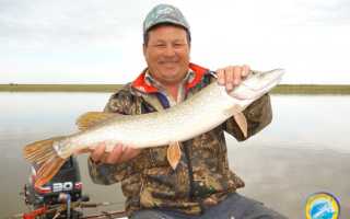 Ловля рыбы весной: по мутной воде