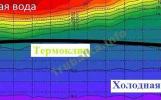 Мой первый опыт фидерной ловли на озере