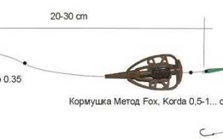 Карповые монтажи – практические советы