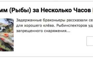 Ловля пескаря: на что ловить и как