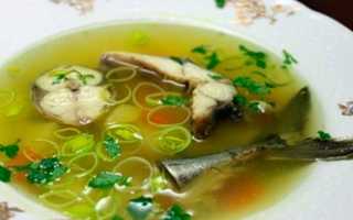 Уха из скумбрии свежемороженой: два вкусных рецепта