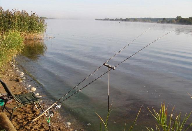 Берег реки