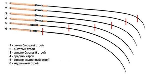 Изгиб и строй удилища