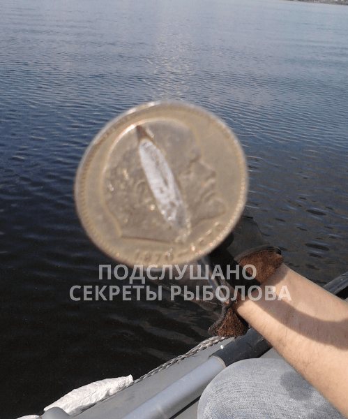 квок из монеты