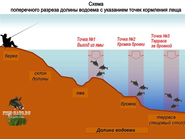 Ловля леща на фидер в ноябре