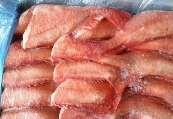 Польза и вред морского окуня, советы по выбору качественного продукта