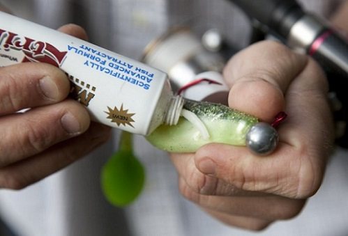 приманка и активатор клева