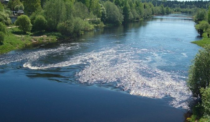 Рыбалка на реке Суда Вологодской области