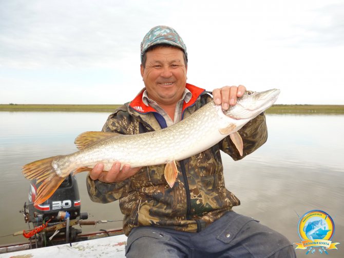 Рыбалка на щуку