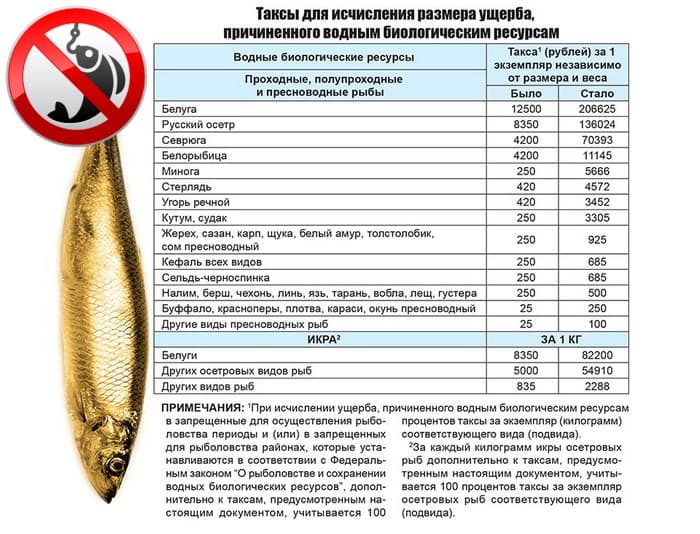 Таблица новых штрафов на рыбалке