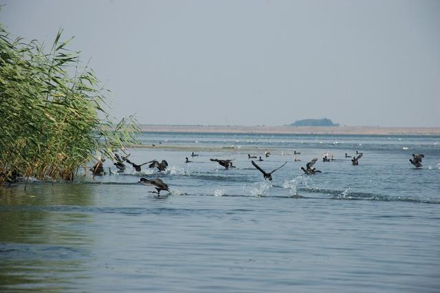 веселовском водохранилище