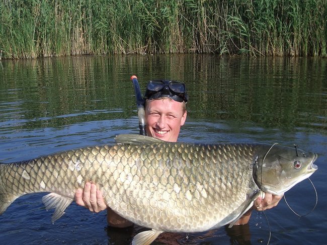 Воды Кубани богаты разной живностью