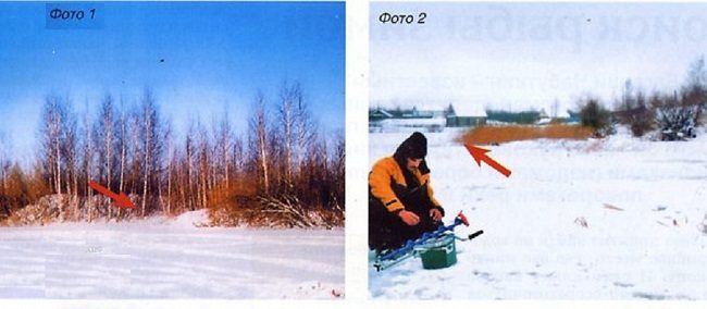 Все нюансы поиска рыбы зимой
